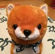 しんこの画像