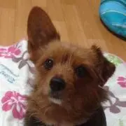 即購入OK@処分SALE中