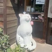 さむの画像