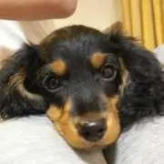 ７番人気の激走☆プロフを一読の画像