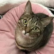 ゆうの画像