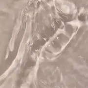 suiの画像