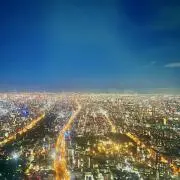 りゅうの画像