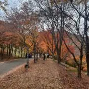 さぼてんの画像