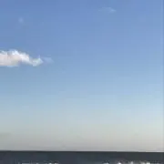 Lillyの画像