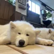みなの画像