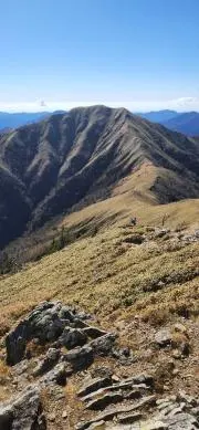 vizell