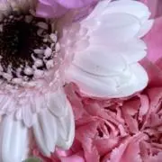 や。の画像