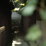 パルスドプラ