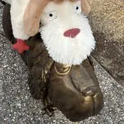 eの画像