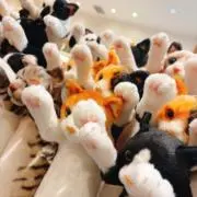 ちびの画像