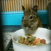 ふりたです(^-^)
