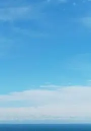 アサヒの画像