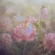 rsの画像