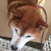 みお