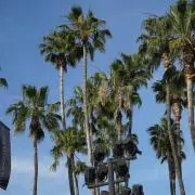 VENICE0513の画像