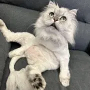 みちゃきの画像