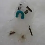 とるとるの画像