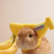 ミンミン