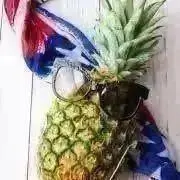 すみれの画像