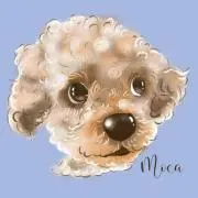 あさんの画像