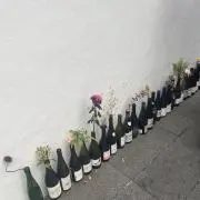 nickyの画像