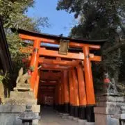 k84645〜の画像