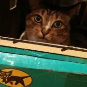 久子