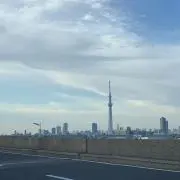 Panda＊の画像