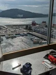 モフモフまるの画像