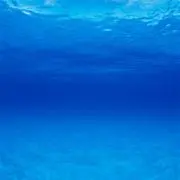 とーいの画像