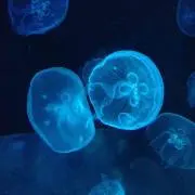 なちゅらる