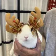 うーくんの画像