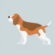 ソーマの画像