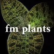fm_plants 【プロフ必読です】の画像