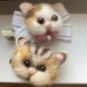 chocolat⭐︎の画像