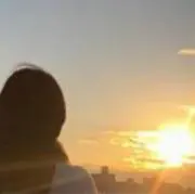 ねねの画像
