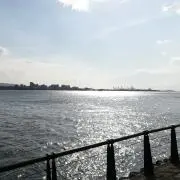 ゆるの画像