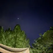 ハルの画像
