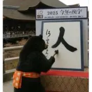 ヒナタの画像