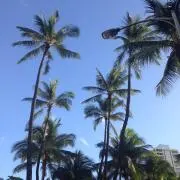 あこ断捨離中！！※お値下げ交渉不可ですの画像