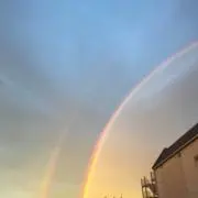 ホワイトFOXの画像