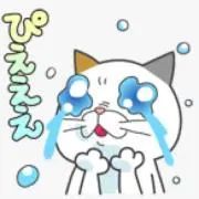 ちるちる