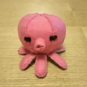 ひろすけの画像