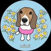 ☆mimi_cord_shop☆の画像