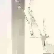 悠乃の画像
