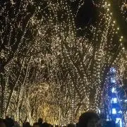 こ