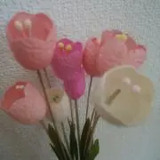 ちょろの画像
