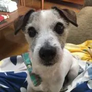 ふみママの画像