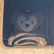 くまころ※発送は平日のみの画像